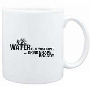  Mug White  Water is almost gone  drink Grape Brandy 