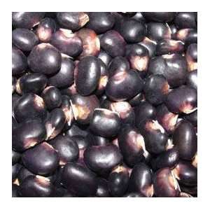 Succotash Pole Bean Seeds 
