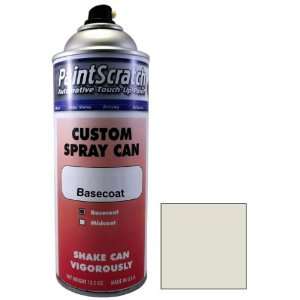  12.5 Oz. Spray Can of Light Pewter Poly Touch Up Paint for 