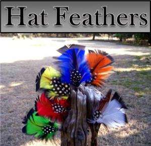 Hat FEATHERS 3 Pack, Top Hat, Fedora, Homburg, Cowboy.  