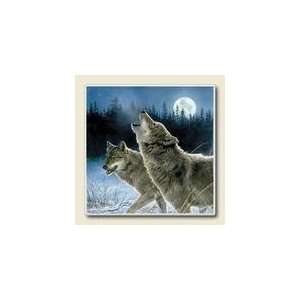  Absorbent Stone Coaster Box Set of 4 Wolf Howl At Moon 
