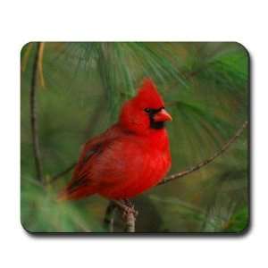 Male Cardinal Nature Mousepad by   Sports 
