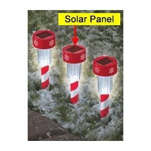  Holiday Solar Stake Set