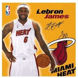  Miami Heat Lebron James Basketball   Lunch Napkins 