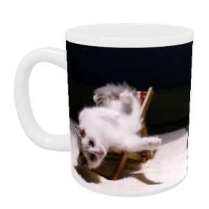  Cat flap   Mug   Standard Size