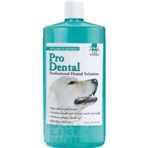  Dental Solution   8 oz.