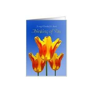  Thinking of you aunt, with tulips full of sunshine Card 