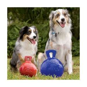  Jolly Ball for Dogs