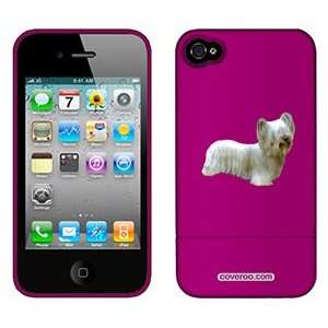  Skye Terrier on AT&T iPhone 4 Case by Coveroo  Players 
