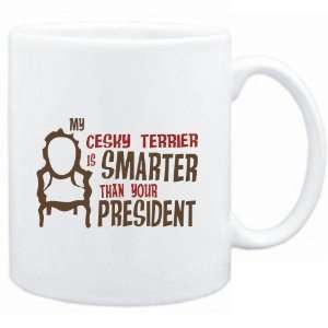  Mug White  MY Cesky Terrier IS SMARTER THAN YOUR 