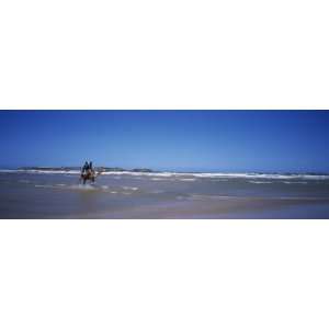 Tourists Riding a Camel on the Beach, Essaouira, Morocco by Panoramic 