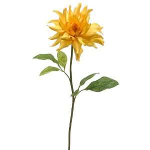 30 Spider Dahlia Spray Yellow (Pack of 6) Beauty