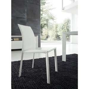  Slide Dining Chair (Set of 2)