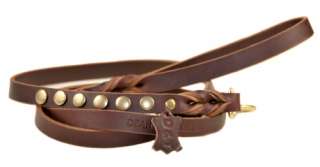Braided Leather Dog Leash with Solid Brass Hardware  
