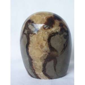   Hand Carved and Polished Septarian Free Form, 9.11.12 