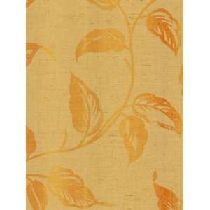  Wallpaper Seabrook Wallcovering Mimosa KY51905