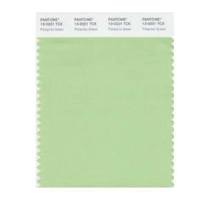  PANTONE SMART 13 0221X Color Swatch Card, Pistachio Green 