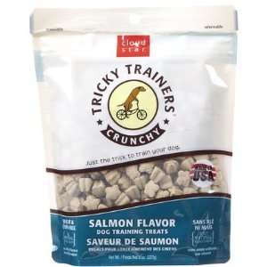  Crunchy Tricky Trainers   Salmon Flavor (Quantity of 4 