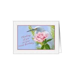   Birthday, 100th, Snowy Egret and Pink Rose Card Toys & Games