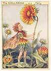 FLOWER FAIRIES LABURNUM TREE FAIRY C M BARKER c1940S  