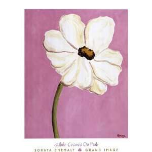  Soraya Chemaly White Cosmos On Pink 27.5x36 Poster