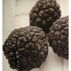 black truffles fresh italian  Grocery & Gourmet Food