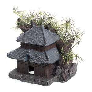  Bonsai Temple   Small