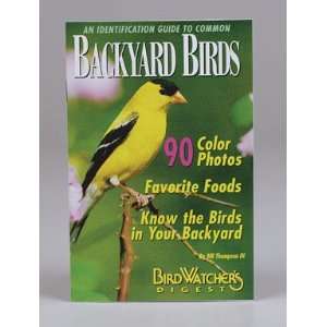  An Identification Guide to Common Backyard Birds   A 