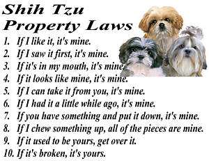 PARCHMENT PRINT SHIH TZU DOG PUPPY BREED PROPERTY LAWS  
