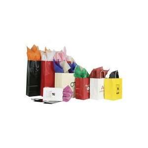  30084    Colored Gloss Shopping Bags Colored Gloss Colored 