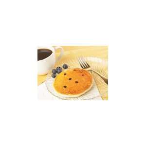 MedifitNY Healthwise 15g High Protein Blueberry Pancake Breakfast Mix 