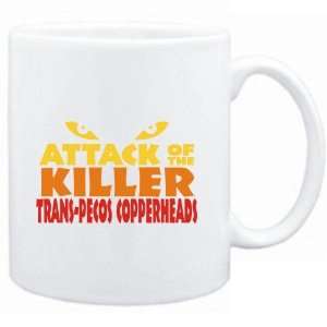   of the killer Trans Pecos Copperheads  Animals