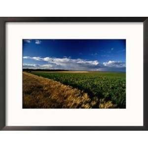  Farmland Between Crail and Kingbarns, Crail, Fife 