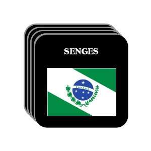  Parana   SENGES Set of 4 Mini Mousepad Coasters 