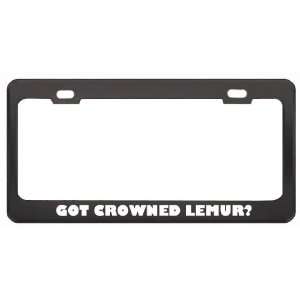 Got Crowned Lemur? Animals Pets Black Metal License Plate Frame Holder 