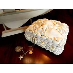 Seashell Jewelry Box Perfect for a Beach Wedding or Bridesmaid Gift By 