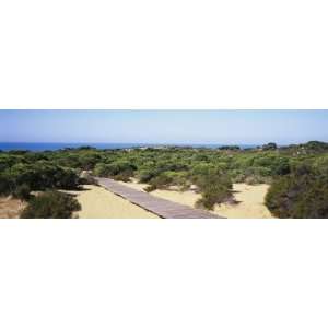  Boardwalk at the Coast, Cuesta de Maneli, Donana National Park 