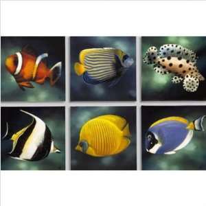  Fish (Set of 6) by Unknown Size 16 x 20