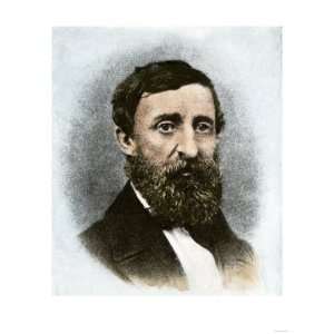  Henry David Thoreau at Age 43 Premium Poster Print, 18x24 