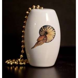  Ammonite Porcelain Fan / Light Pull