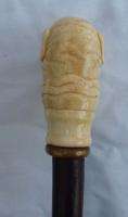 Antique Carved Dog Head Bone Walking Stick Cane  