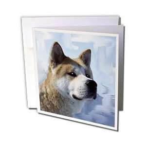  Dogs Akita   Akita Portrait   Greeting Cards 12 Greeting 