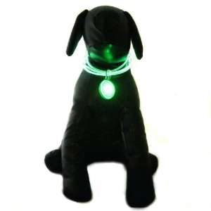  Alfie Lifestyle Pet Accessory   Lighted Collar and Safety 