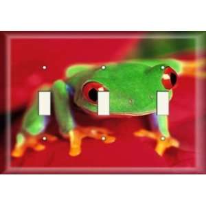  Three Switch Plate   Frog Runt