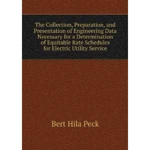   for Electric Utility Service (9785877369825) Bert Hila Peck Books