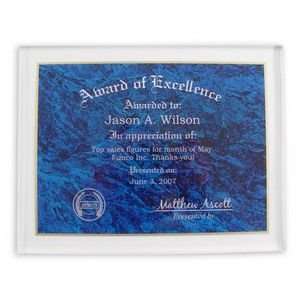  Award of Excellence Plaque