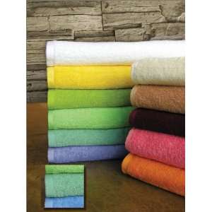   Sea Foam Green Pool Towel 35in x 70in 100% Cotton