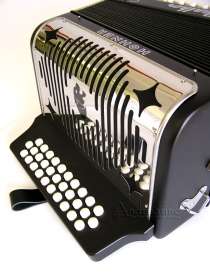 the perfect beginner diatonic accordion the panther combines afford 