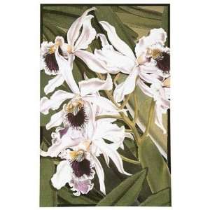  The Rug Market America Signature White Orchids 44077 White 
