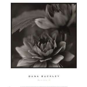   Finest LAMINATED Print Dana Buckley 13x16 